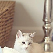 Jacquelyn Reid's photo