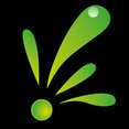 Profilbild von raumdesigner