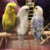 Mariluz Grote's photo