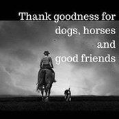 Bernadette Collie's photo