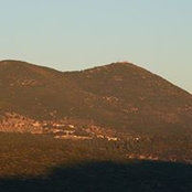 Menachem Reich's photo