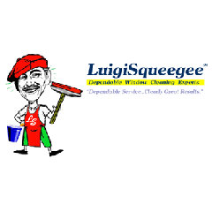 Luigi Squeegee Window Cleaning