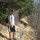 brlesher