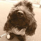 Tsutomu Morimoto's photo
