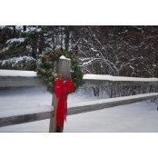 Cheryl Brown's photo