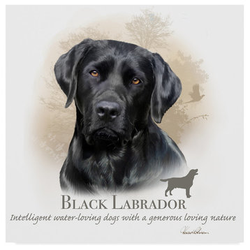 "Black Labrador" by Howard Robinson, Canvas Art