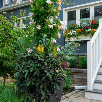 Planter Inspiration