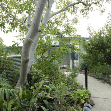 Garden Delight