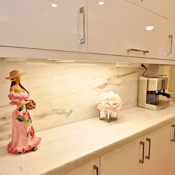 Upper Kirby Kitchen Remodel