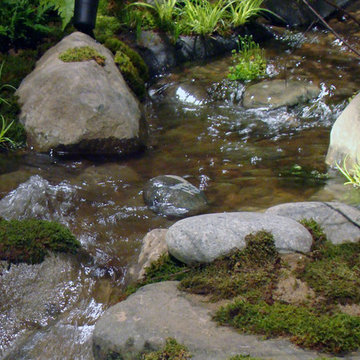 Mountain Stream