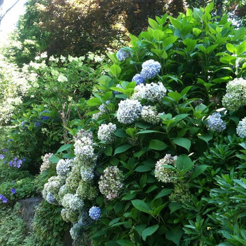 Wall garden