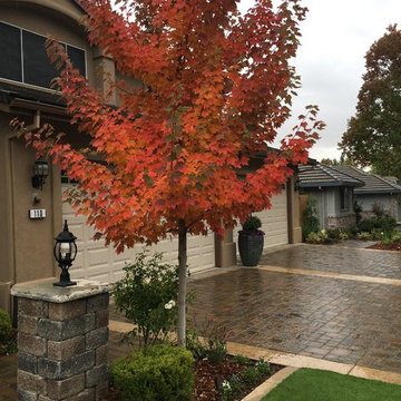 Hardscaping and Landscapes