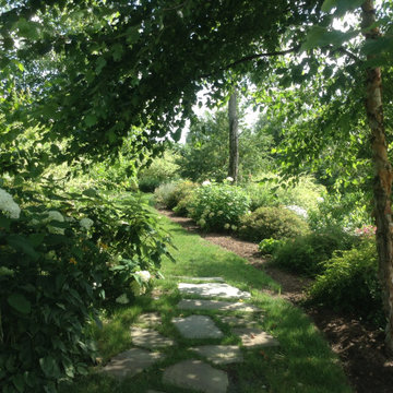 Landscape Expansion