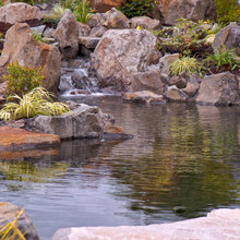 pond