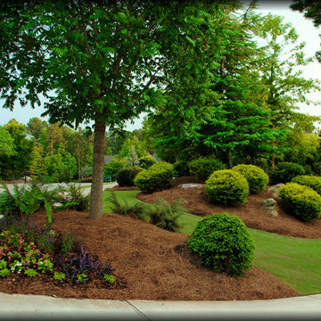 Annual Beds