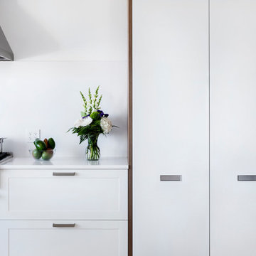 Newton Victorian with Modern Twist