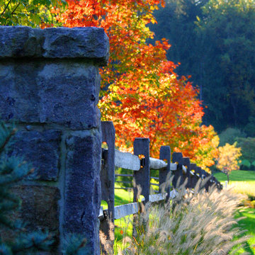 Fall Color