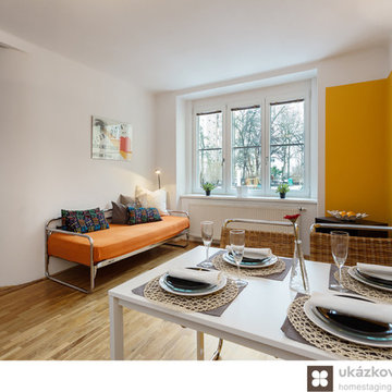 Home Staging of a small apartment in Prague Vinohrady, Czech Republic 2016