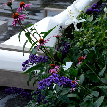 South Granville Patio