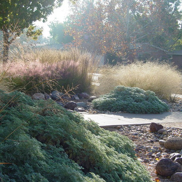 Arroyo Garden