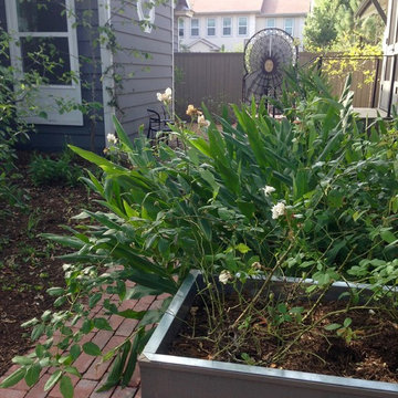 Relaxed Southern Garden