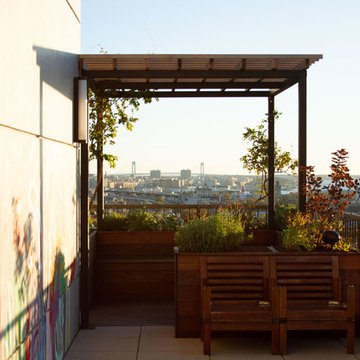 Tropical Rooftop Garden