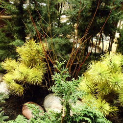 Gardens & Plantings - Outdoor Pots And Planters