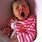 Anthony Iocco's photo