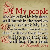 Sheri Cook's photo