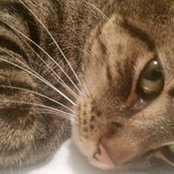 Debbie Brynes's photo