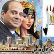 Noha Elsaqqa's photo