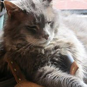 Deirdre Davenport's photo