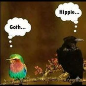 Deborah Lesperance's photo