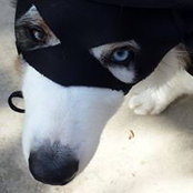 Julie Joyce's photo