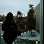 Serena's photo