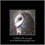 Heike Bammann's photo