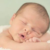 Michelle Chapman's photo