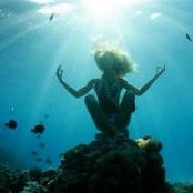 Fiona Wilder's photo