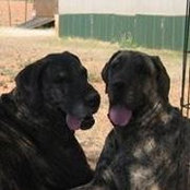 Jeremy Mullens's photo