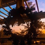 Laura Swilley's photo