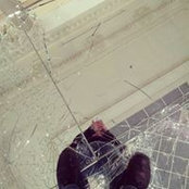 Paolo Ostrich's photo