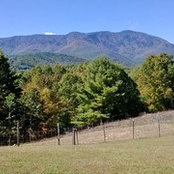 Suzanne Clendenin's photo