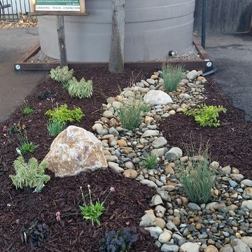 Rainwater Harvesting