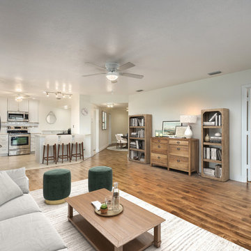 Living Rooms - Virtual Staging