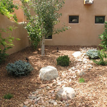 Dry River Beds