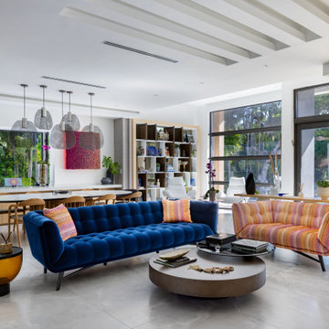Mid Century Modern House renovation