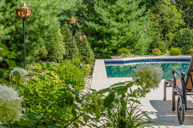 Inspiration for a landscaping in St Louis.