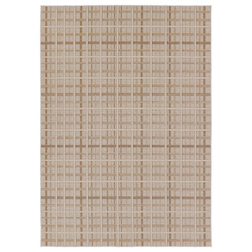 Jaipur Living Cecily Indoor/Outdoor Striped Brown/Cream Area Rug 9'X12'