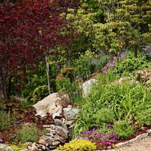 Stahl Ackerman Landscapes