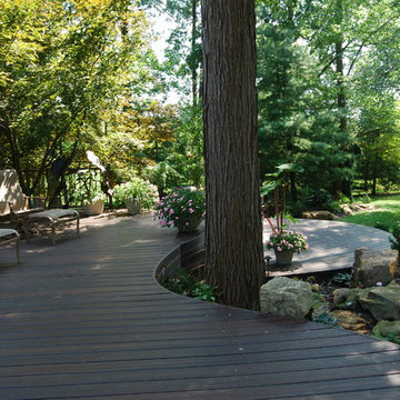 Natural Backyard